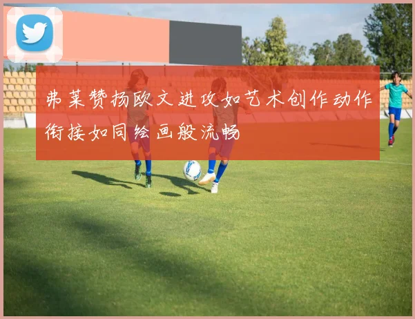 弗莱赞扬欧文进攻如艺术创作动作衔接如同绘画般流畅
