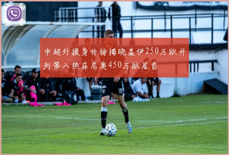中超外援身价榜揭晓盖伊250万欧并列第八热菲尼奥450万欧居首