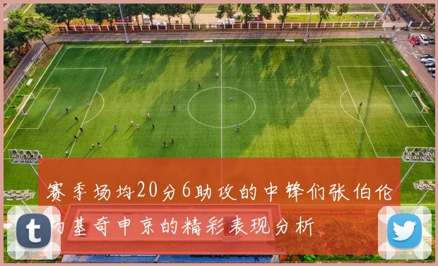 赛季场均20分6助攻的中锋们张伯伦约基奇申京的精彩表现分析
